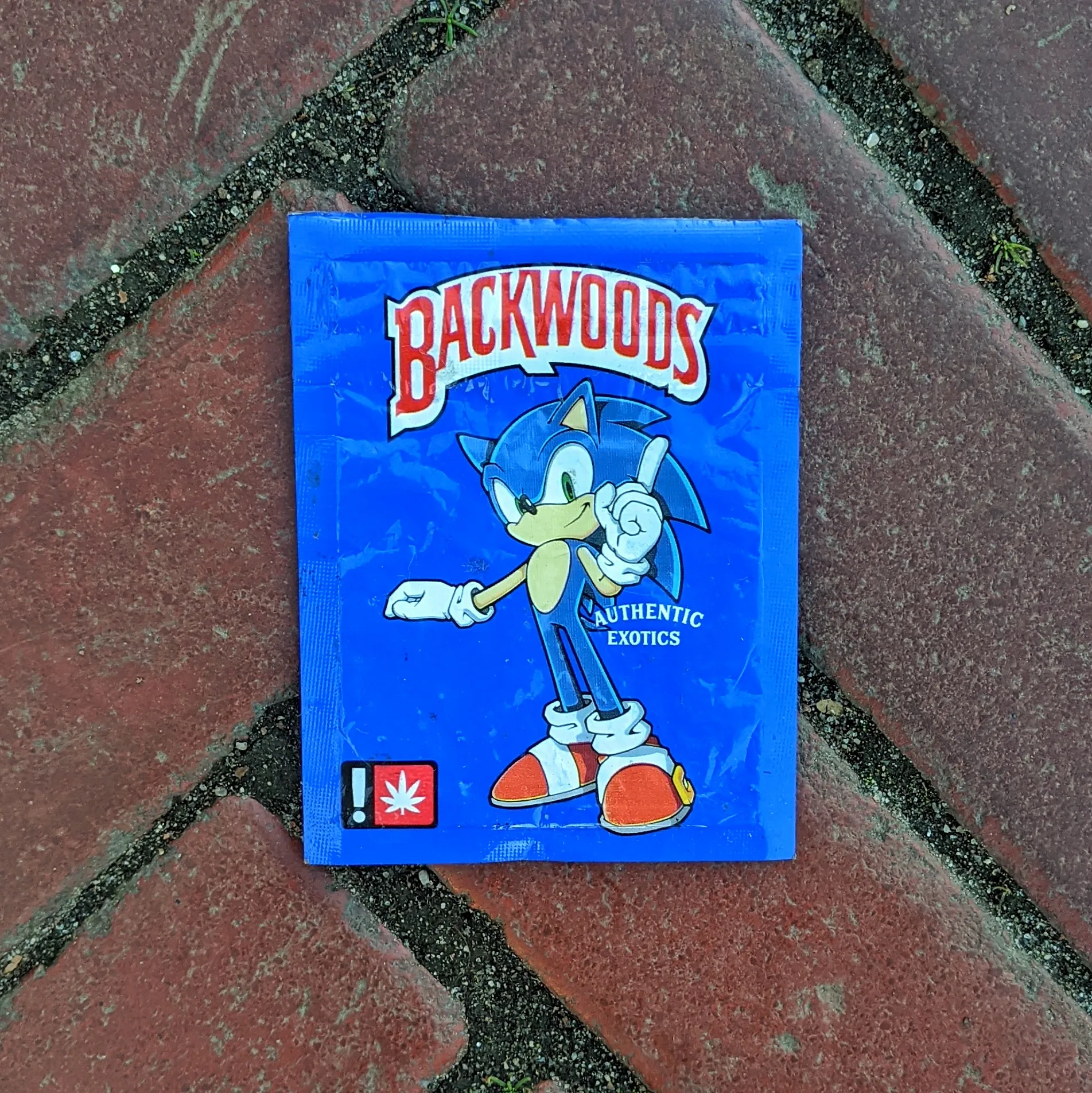 Sonic the Blunt Hog @ Bethesda Terrace